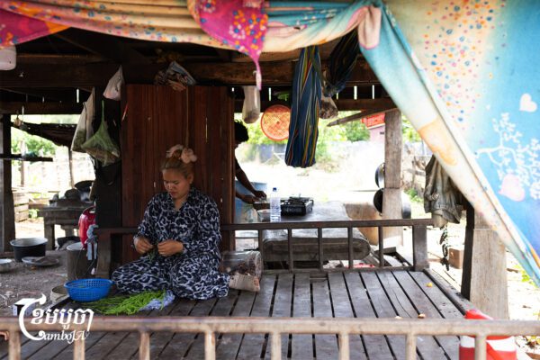 អ្នកស្រី ខុន ផាន់ណា កំពុងតែបេះបន្លែនៅក្រោមផ្ទះរបស់គាត់ ក្នុងខេត្តមណ្ឌលគិរី ។ រូបភាពថតនៅថ្ងៃទី២៥ ខែមេសា ឆ្នាំ២០២៦។ (ខេមបូចា/ម៉ិច ជូឡាយ)