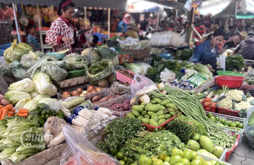 បន្លែគ្រប់មុខត្រូវបានដាក់លក់នៅផ្សារមួយ ក្នុងរាជធានីភ្នំពេញ។ រូបថតនៅថ្ងៃទី៣ ខែមេសា ឆ្នាំ២០២៣។ ខេមបូចា/ ព្រីង សំរាំង