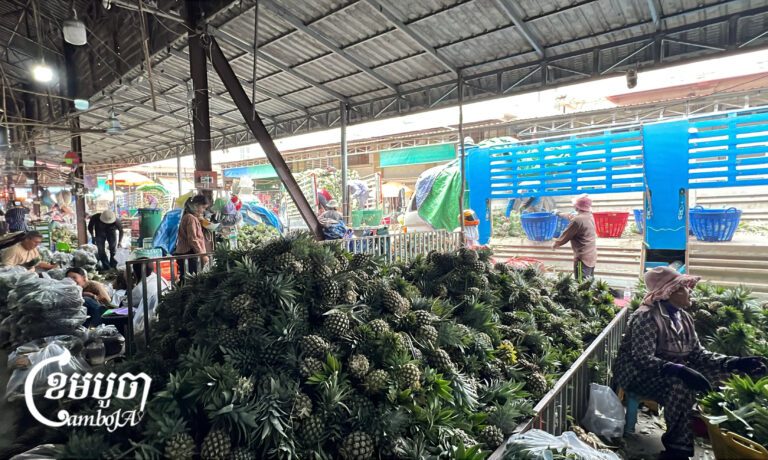 ក្រុមឈ្មួញកណ្តាលកំពុងឱ្យកម្មករទម្លាក់ផ្លែម្នាស់ពីរថយន្តដឹកពីស្រុកមោងឫស្សីមកស្តង់ផ្សារភួពុយក្រុងបាត់ដំបង ដើម្បីរៀបចំបែងចែកប្រភេទម្នាស់ច្រកចូលក្នុងថង់ដើម្បីវិចខ្ចប់ បោះទៅឱ្យម៉ូយតាមបណ្តាខេត្តរាជធានី។ រូបភាពថតនៅថ្ងៃទី១៤ ខែតុលា ឆ្នាំ២០២៦ (ខេមបូចា/មាស ភារុណ)