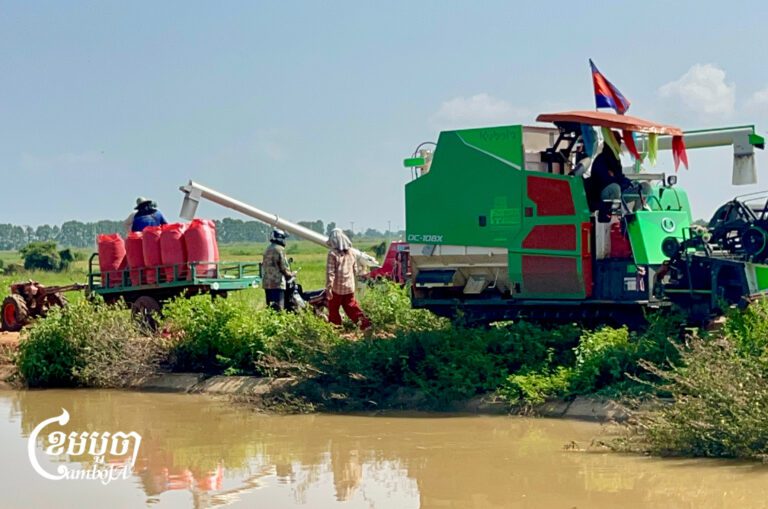 ប្រជាពលរដ្ឋបង្ខំចិត្តច្រូតស្រូវប្រណាំងទឹកជំនន់ ដែលជន់លិចនៅចំណុចអាងភៀស ក្នុងស្រុកឯកភ្នំ ខេត្តបាត់ដំបង ។ ថ្ងៃទី ៣០ ខែ កញ្ញាឆ្នាំ២០២៦ ។ (ខេមបូចា/មាស ភារុណ)
